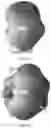 Fig. 09 - Radiator sharing antenna and electronic device