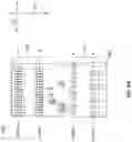 Fig. 07 - High performance cable termination