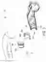 Fig. 04 - Charging gun and strain relief structure thereof