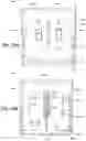Fig. 43 - Active cover plates