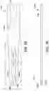 Fig. 02 - Staggered contact