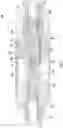 Fig. 07 - Fish stick assembly with lighted tip