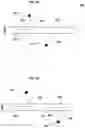 Fig. 06 - METHOD FOR PRODUCING AN ABLATED WIRE