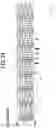 Fig. 19 - Rotating electric machine