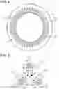 Fig. 03 - Rotating electric machine and armature
