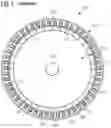 Fig. 02 - Sealing sleeve for a stator of an electrical machine