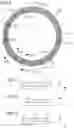 Fig. 08 - Sealing sleeve for a stator of an electrical machine