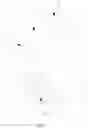 Fig. 09 - Motor and hairpin stator thereof