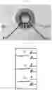 Fig. 09 - Integrated DC/DC and AC/DC converter system