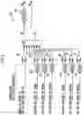 Fig. 03 - Control device for power converter