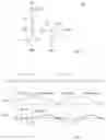 Fig. 02 - DC-DC converter regulation circuit and method for determining overshoot duration
