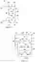 Fig. 08 - Variable gain power amplifiers