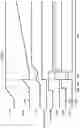 Fig. 04 - Transistor diagnostic circuit