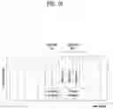 Fig. 19 - Positioning method in wireless communication system, and device supporting same
