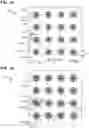 Fig. 02 - AI-based error detection and correction in 5G/6G messaging