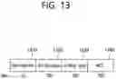 Fig. 14 - Method and apparatus for receiving EHT PPDU in wireless LAN system