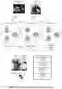 Fig. 12 - System and method for securely storing and sharing information