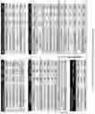 Fig. 23 - System and method for securely storing and sharing information