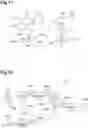Fig. 09 - Method and device for coding and decoding data corresponding to a video sequence