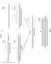 Fig. 07 - Live comments generating