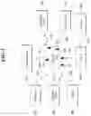 Fig. 02 - Method of performing random access procedure, and transmitting device, apparatus and storage medium therefor