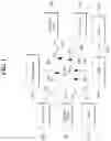 Fig. 02 - Method of performing random access procedure, and transmitting device, apparatus and storage medium therefor