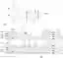 Fig. 01 - Printed circuit board