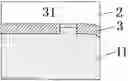 Fig. 01 - PAD AND METHOD FOR MANUFACTURING A DISPLAY DEVICE