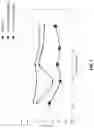 Fig. 08 - Aerothermal ring structures providing RF isolation