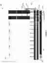 Fig. 05 - COOLANT THERMAL BUFFER FOR DATACENTER COOLING SYSTEMS