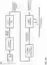 Fig. 03 - Image processing-based weight estimation for aquaculture