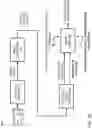 Fig. 04 - Image processing-based weight estimation for aquaculture