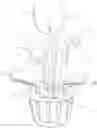 Fig. 01 - Fruit fly trap