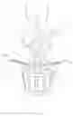 Fig. 02 - Fruit fly trap
