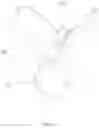 Fig. 07 - Fruit fly trap