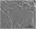 Fig. 01 - SERUM-FREE CRYOPRESERVATION SOLUTION AND PREPARATION METHOD AND APPLICATION THEREOF