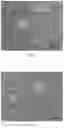 Fig. 04 - SERUM-FREE CRYOPRESERVATION SOLUTION AND PREPARATION METHOD AND APPLICATION THEREOF