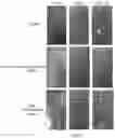 Fig. 07 - ANTIFOULANT MARINE STRUCTURES COMPOSITIONS AND METHODS THEREOF