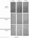 Fig. 10 - ANTIFOULANT MARINE STRUCTURES COMPOSITIONS AND METHODS THEREOF