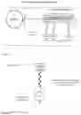 Fig. 02 - ANTI-MICROBIAL PARTICLES AND METHODS OF USE THEREOF