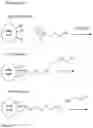Fig. 13 - ANTI-MICROBIAL PARTICLES AND METHODS OF USE THEREOF