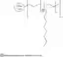 Fig. 25 - ANTI-MICROBIAL PARTICLES AND METHODS OF USE THEREOF