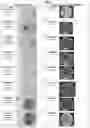 Fig. 02 - Isolated complex endophyte compositions and methods for improved plant traits
