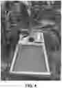 Fig. 06 - Corn rootworm biological control