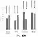 Fig. 16 - Corn rootworm biological control