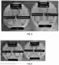 Fig. 02 - PLASMA IMMOBILIZATION OF BACTERIOPHAGES AND APPLICATIONS THEREOF