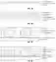 Fig. 04 - PLASMA IMMOBILIZATION OF BACTERIOPHAGES AND APPLICATIONS THEREOF