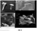 Fig. 06 - PLASMA IMMOBILIZATION OF BACTERIOPHAGES AND APPLICATIONS THEREOF