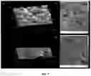 Fig. 07 - PLASMA IMMOBILIZATION OF BACTERIOPHAGES AND APPLICATIONS THEREOF