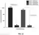 Fig. 11 - PLASMA IMMOBILIZATION OF BACTERIOPHAGES AND APPLICATIONS THEREOF